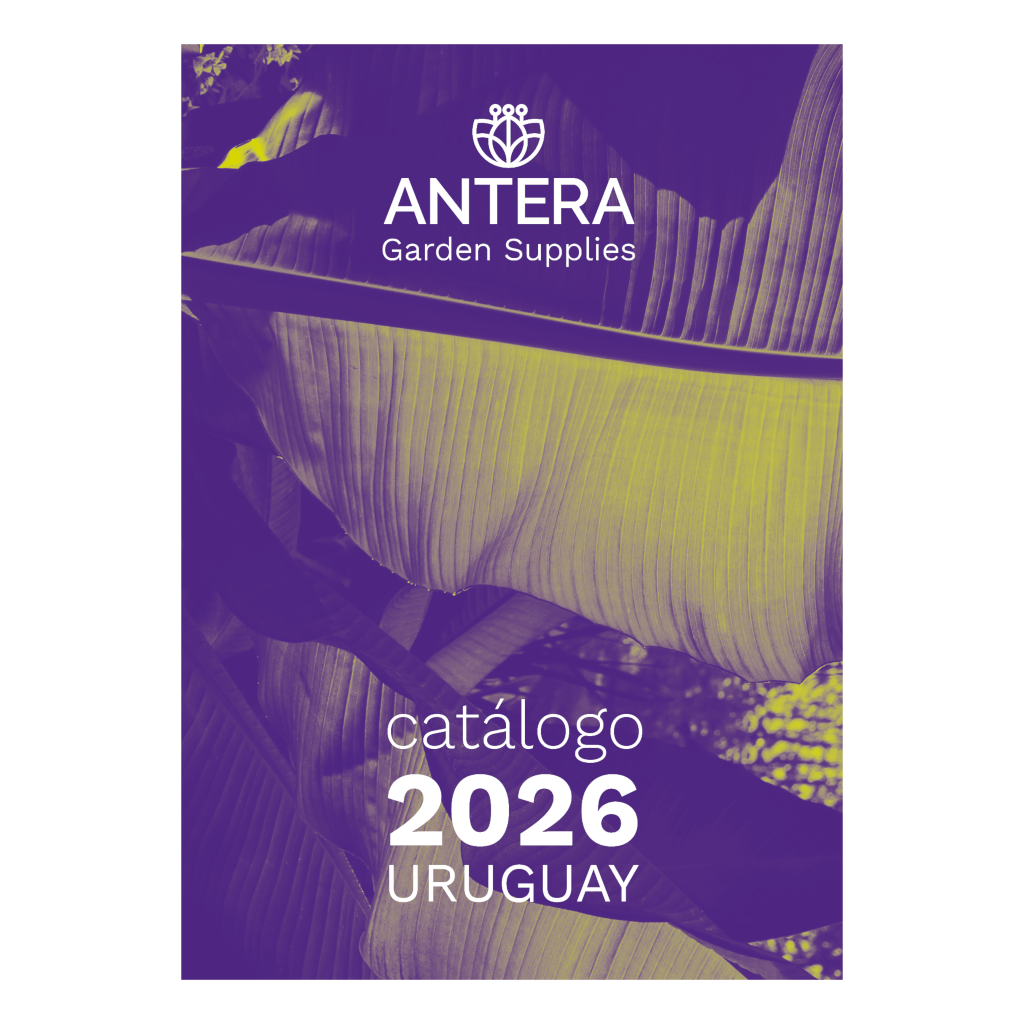 Catálogo Antera 2026 - OBSEQUIO AGS