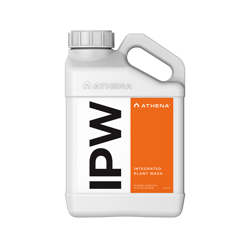 Athena IPW 3,8 Litros