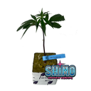 [CLSHENR] Clon Shimo (Enraizado en Taco 36x36x40 mm)